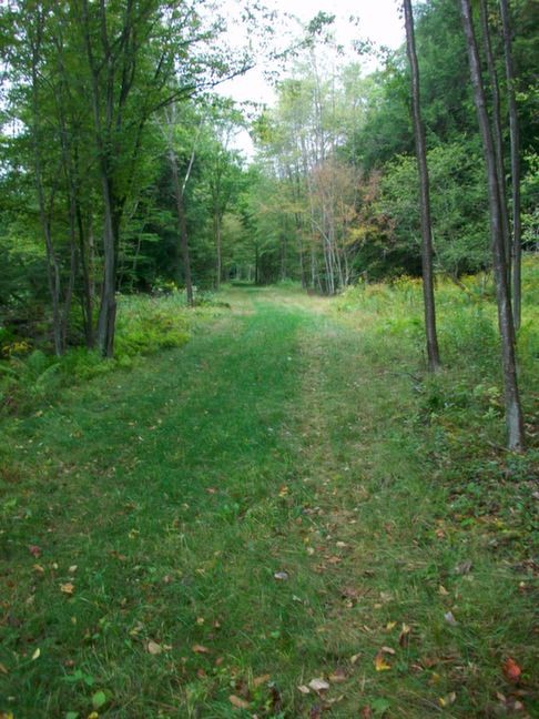 WAG Trail: Shongo, NY: The GreatRails North American Railroad Photo Archive