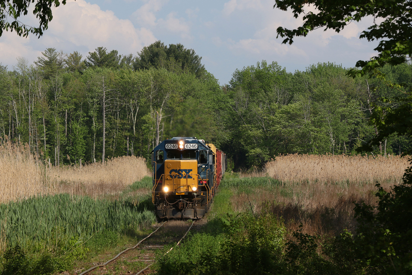 CSXT 6246 Leads L004 Through the Swamp in Sterling: The GreatRails ...